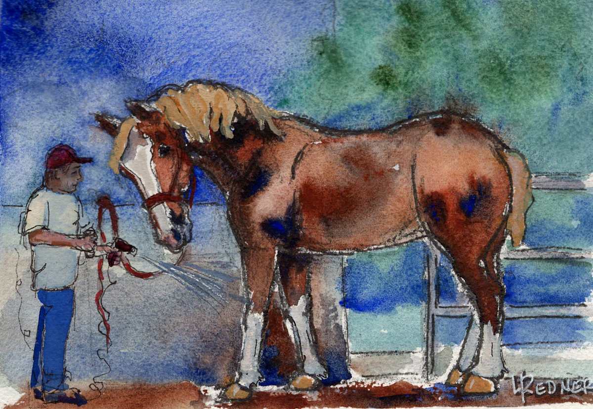 Parade of Horses:Belgian Draft Horse by Lynette Redner 