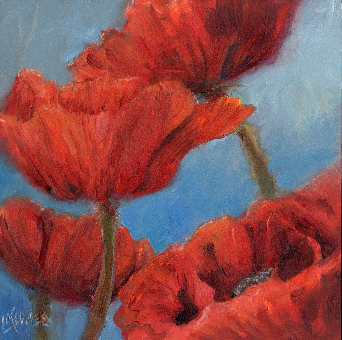 Poppies on Blue 