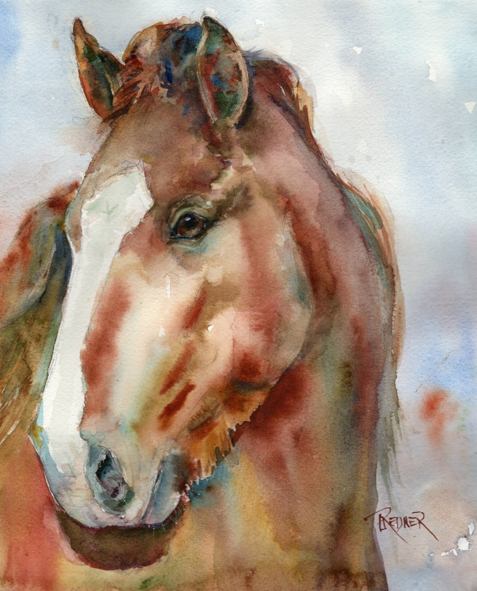 Rocky the Horse by Lynette Redner 