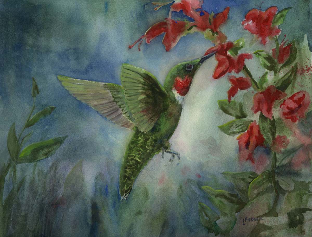 Ruby Red Hummingbird by Lynette Redner 