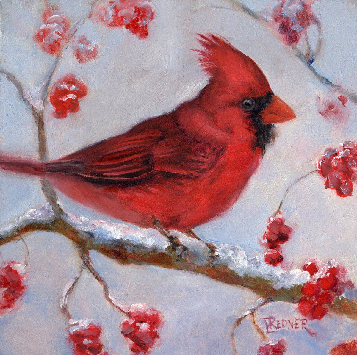 Winter Cardinal Amongst the Berries 