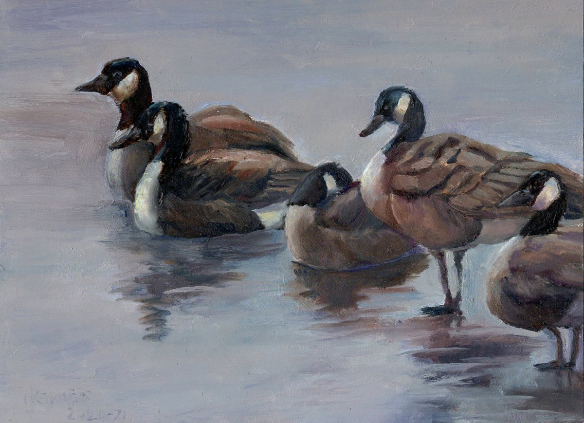 Geese Gathering 