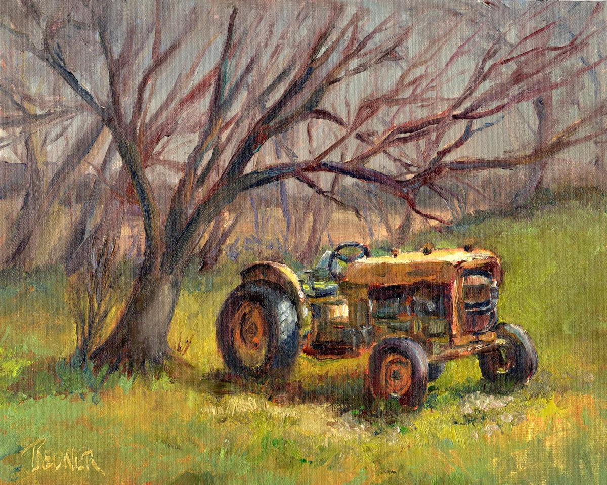 The Lawn Ornament Tractor by Lynette Redner 