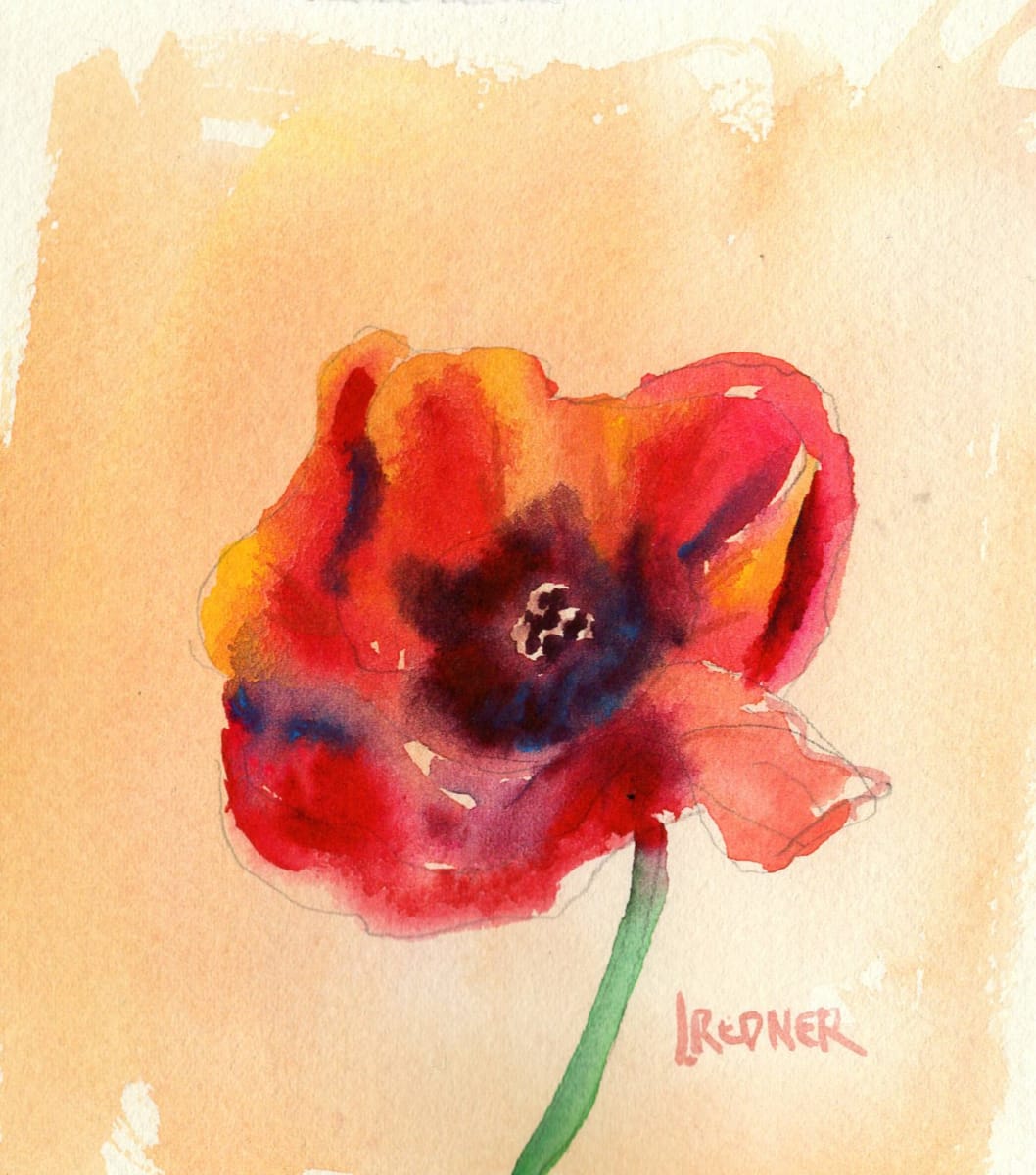 The Solo Poppy by Lynette Redner 