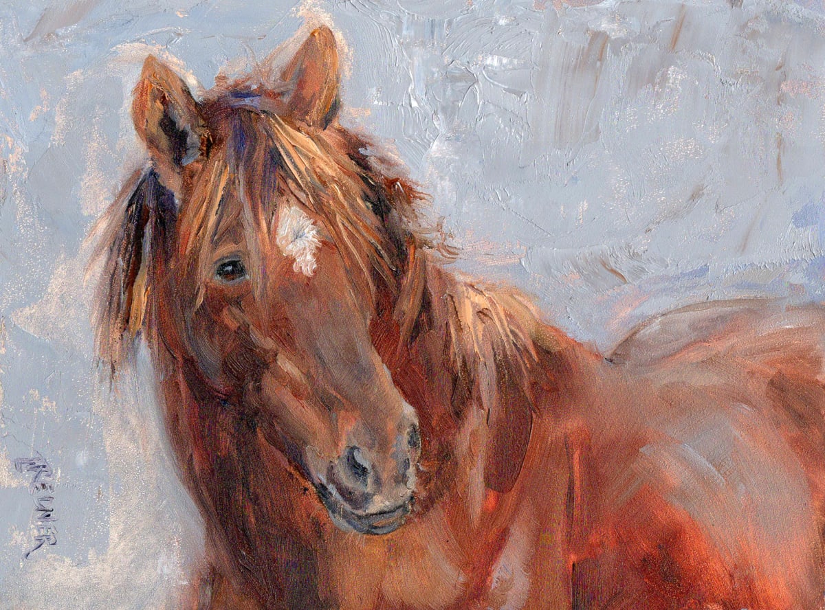 Thoughful One. Wild Mustang Horse 