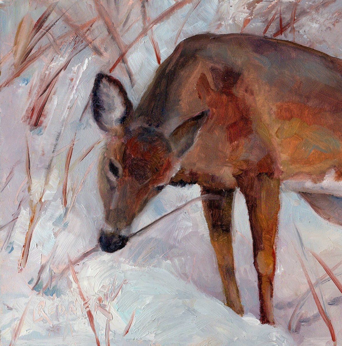 Winter Snack: Deer Grazing 