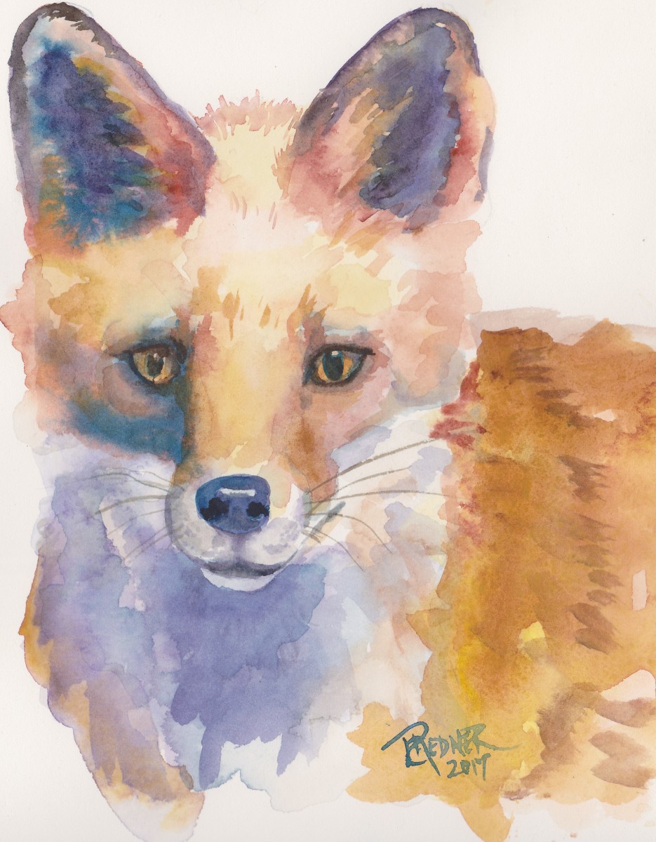 Fox Surprise by Lynette Redner 