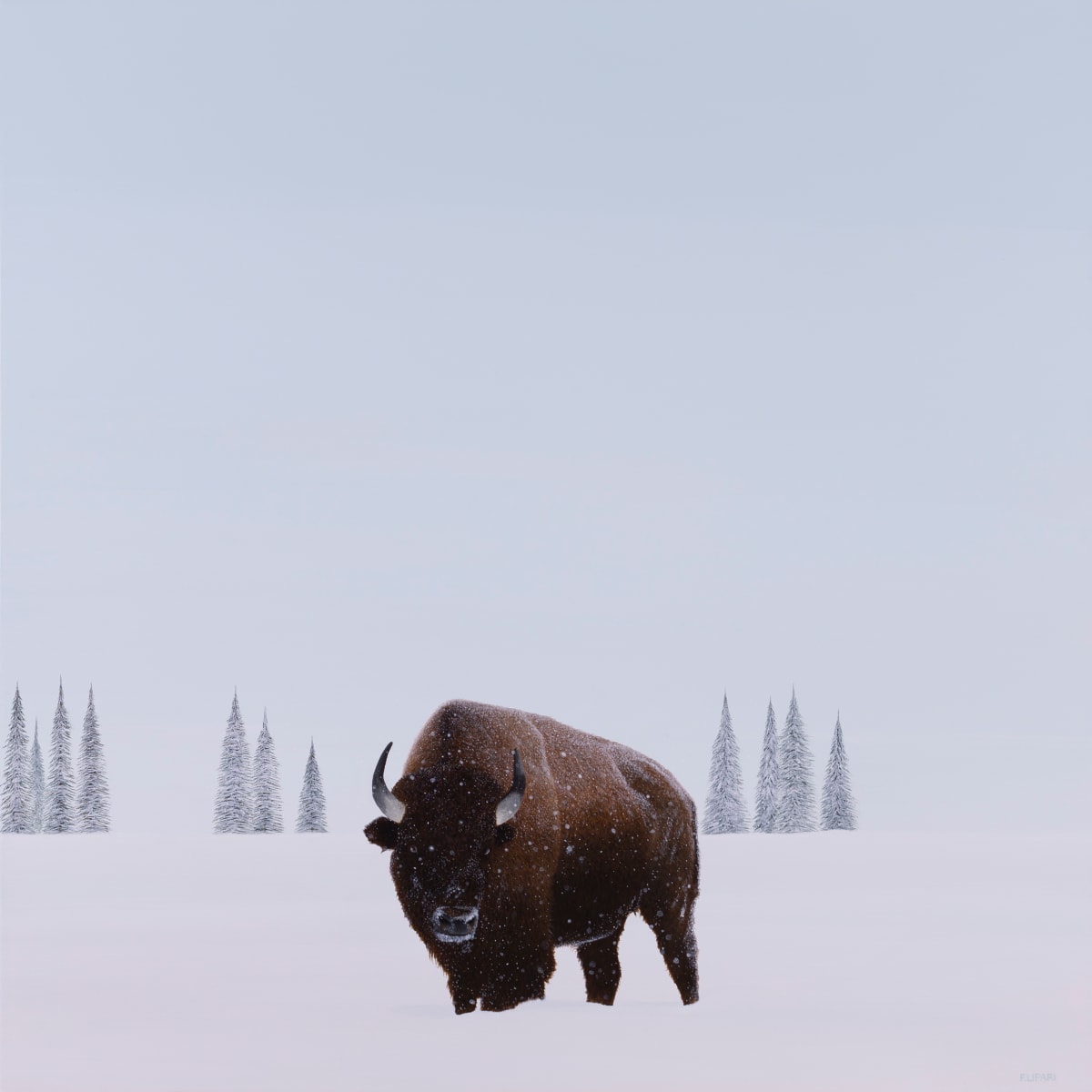 Bison by F. Lipari 