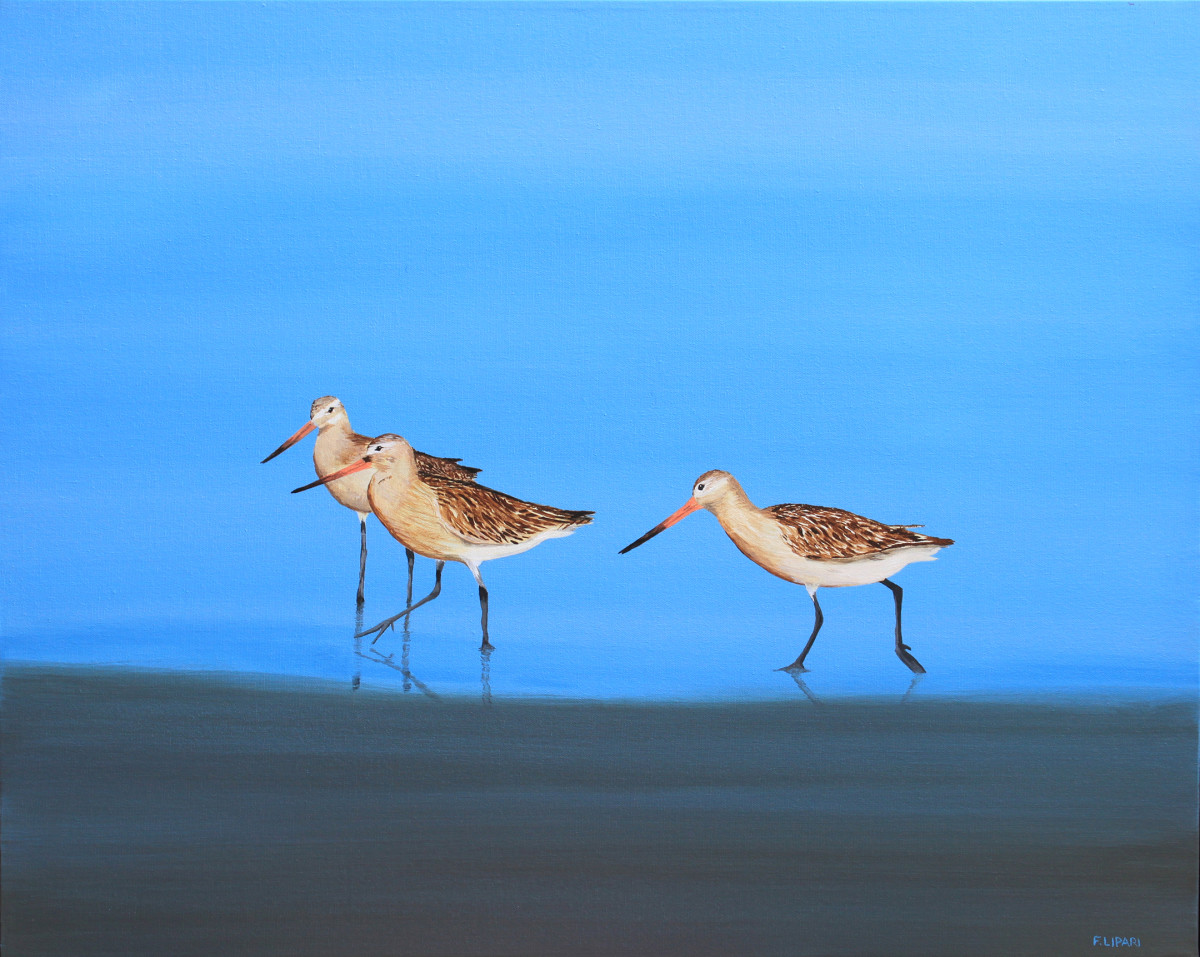 Early Birds by F. Lipari 