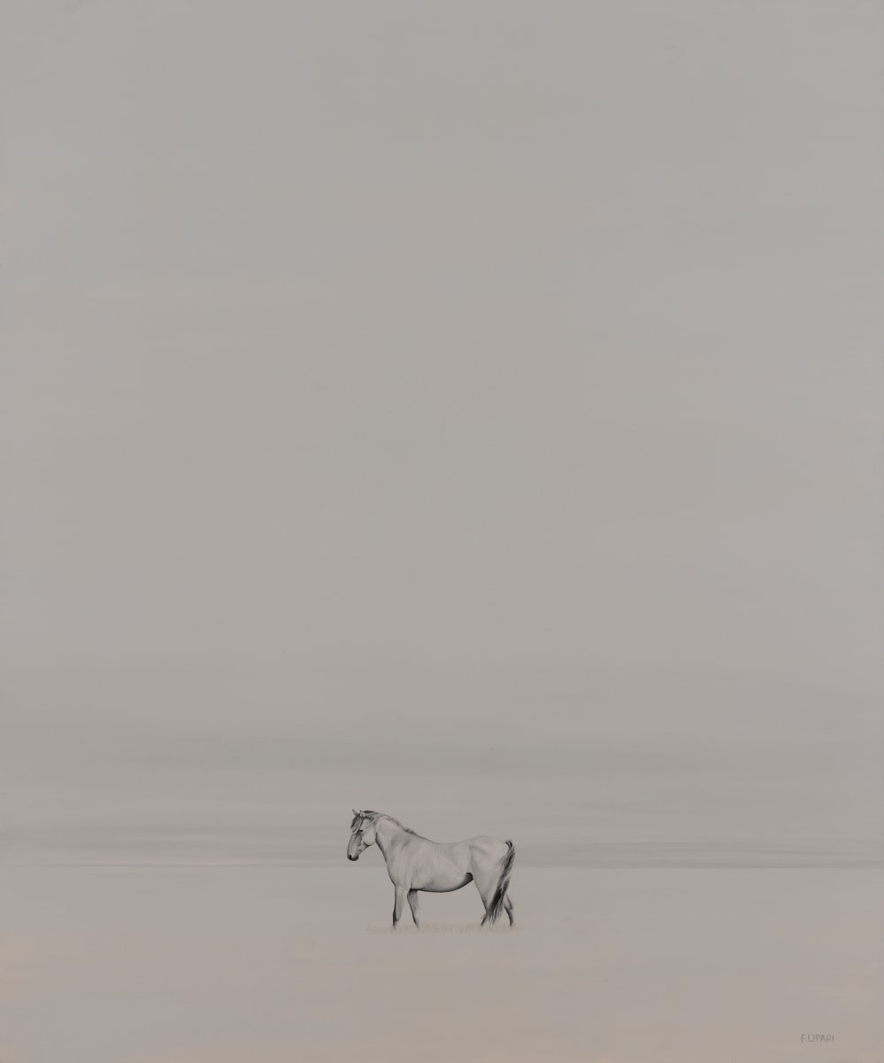 Wild Horse by F. Lipari 