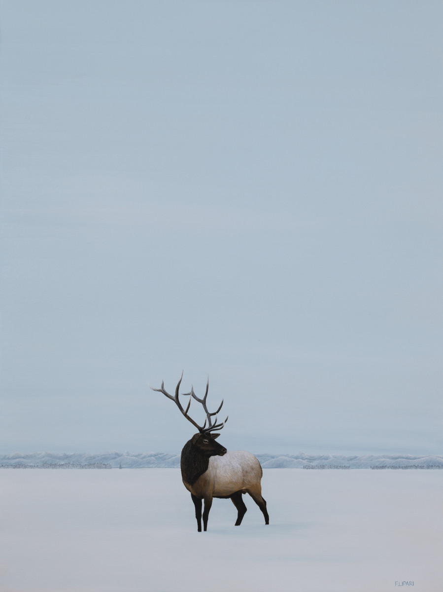 Elk by F. Lipari 