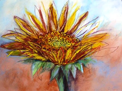 Sunflower by Kristin Pluhacek 