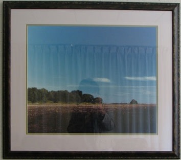 Bare Field Under Harvest Moon by Larry Kanfer 