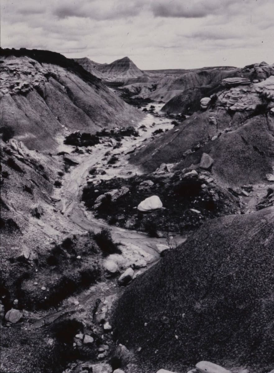 Ravine, Toadstool Park, NE, 1990 by Bill Ganzel, Image 1.