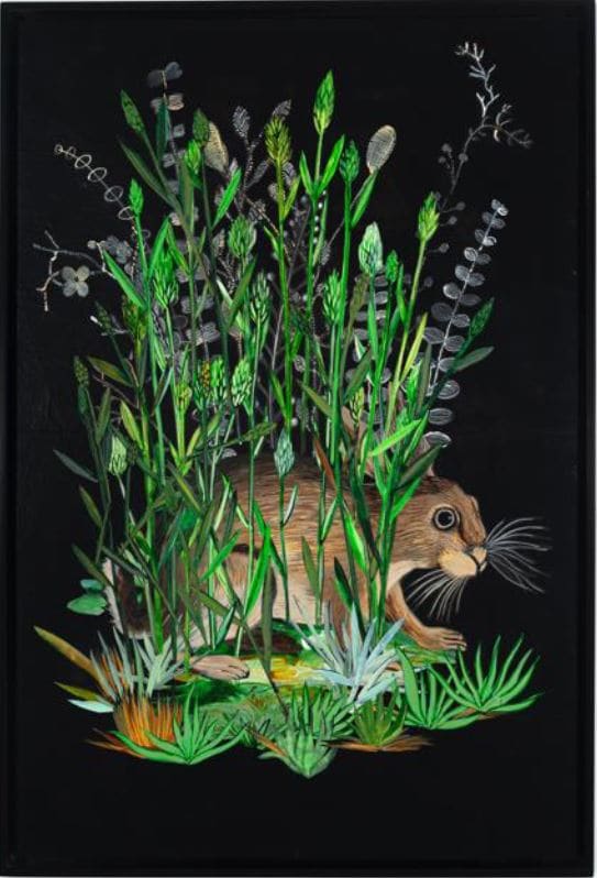 Buffalograss, Eastern Cottontail by Nancy Friedemann-Sánchez, Image 1.