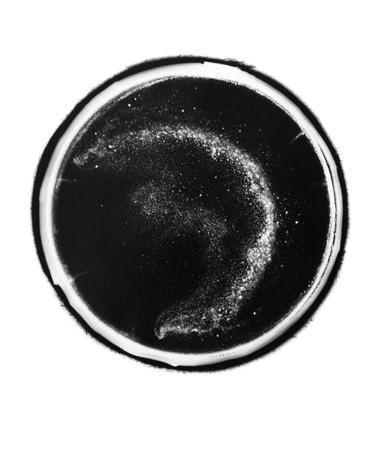 Coffee Cosmo No.2 by Joe Addison, Image 1.