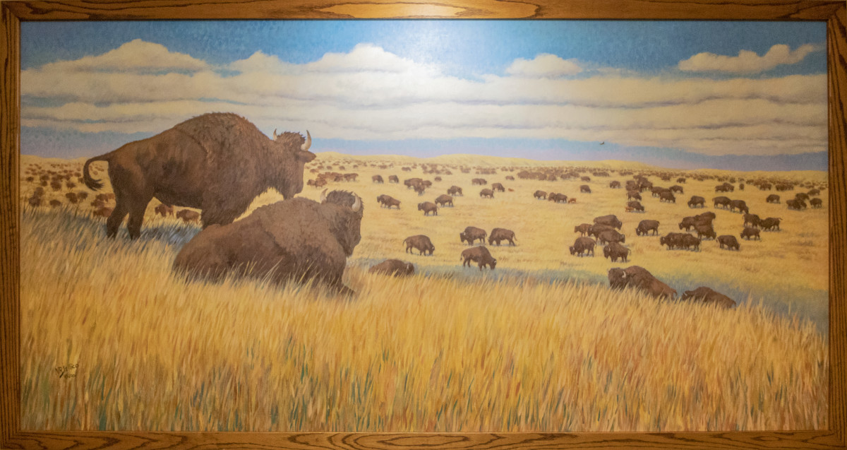 Untitled (Buffalo) by Nancy Jellico 