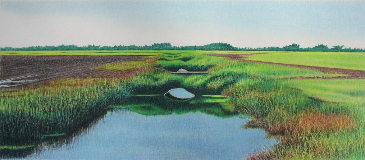 Backwaters by Deborah Murphy 