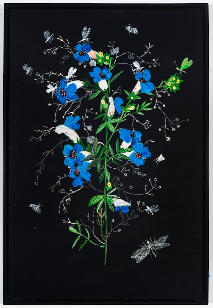Narrowleaf Beardtongue by Nancy Friedemann-Sánchez, Image 1.