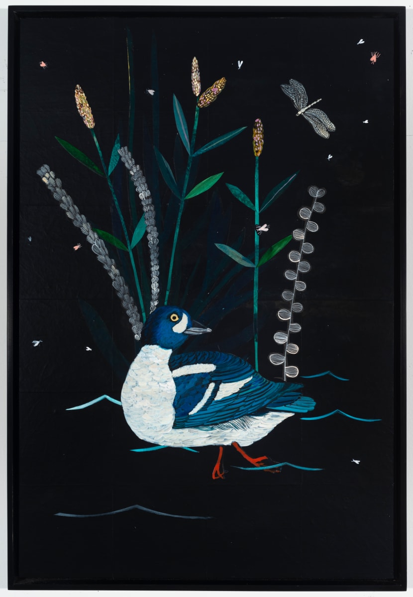 Barrow's Goldeneye, Indiangrass by Nancy Friedemann-Sánchez 