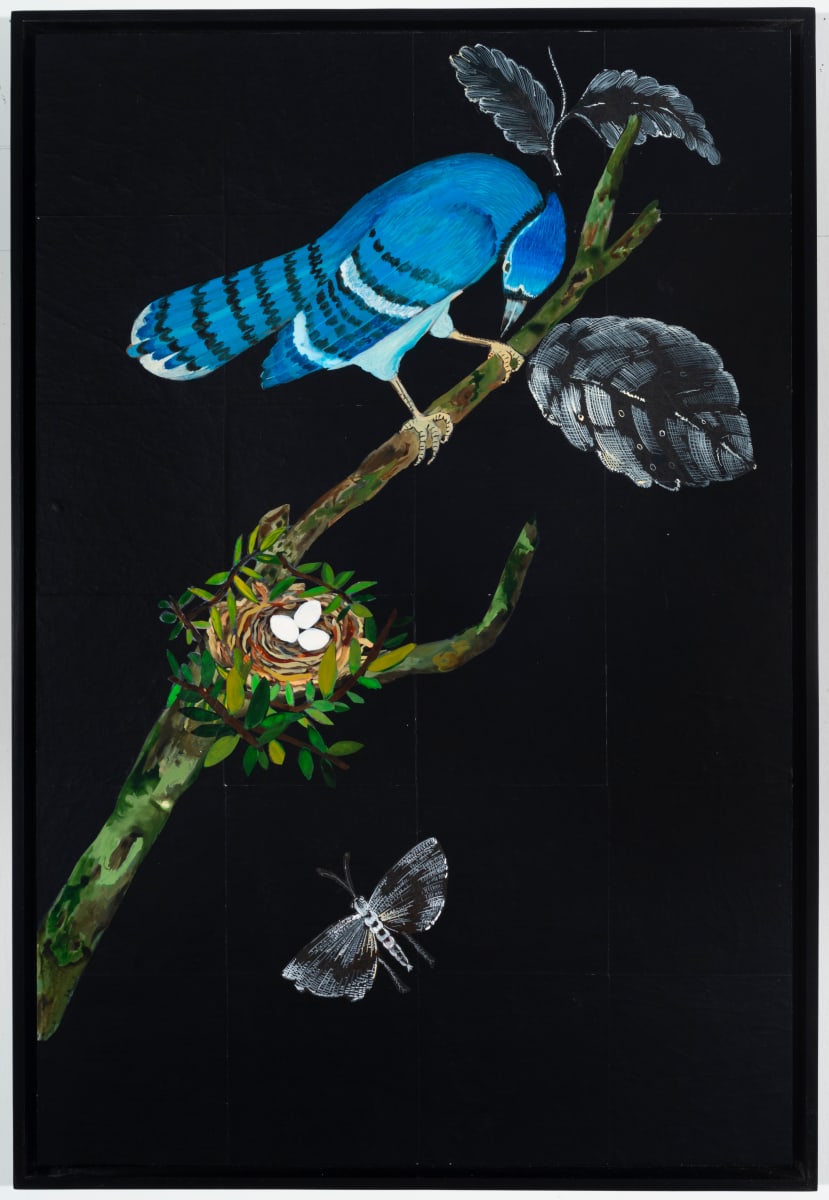 Blue Jay by Nancy Friedemann-Sánchez 