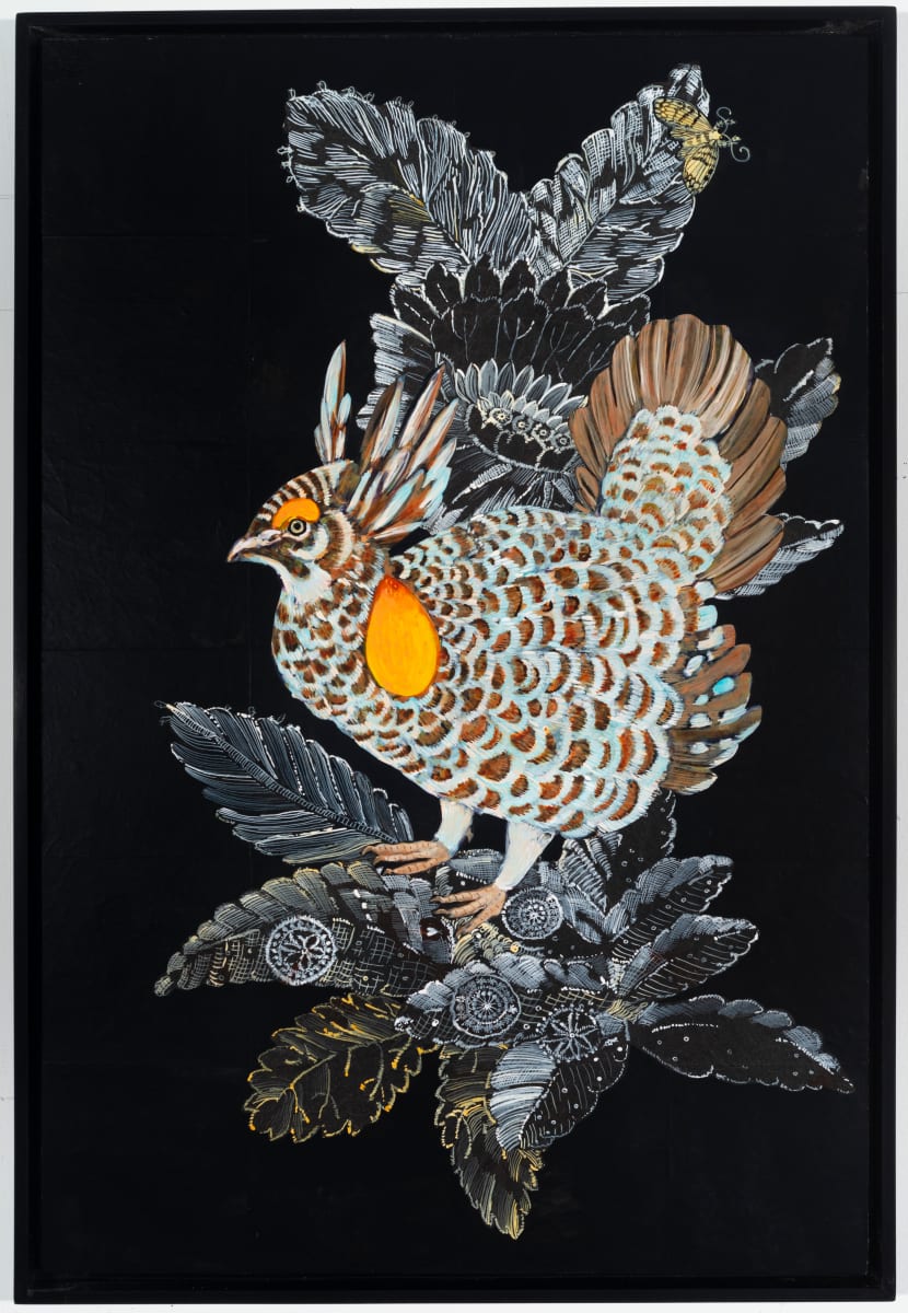 Greater Prairie-chicken by Nancy Friedemann-Sánchez 