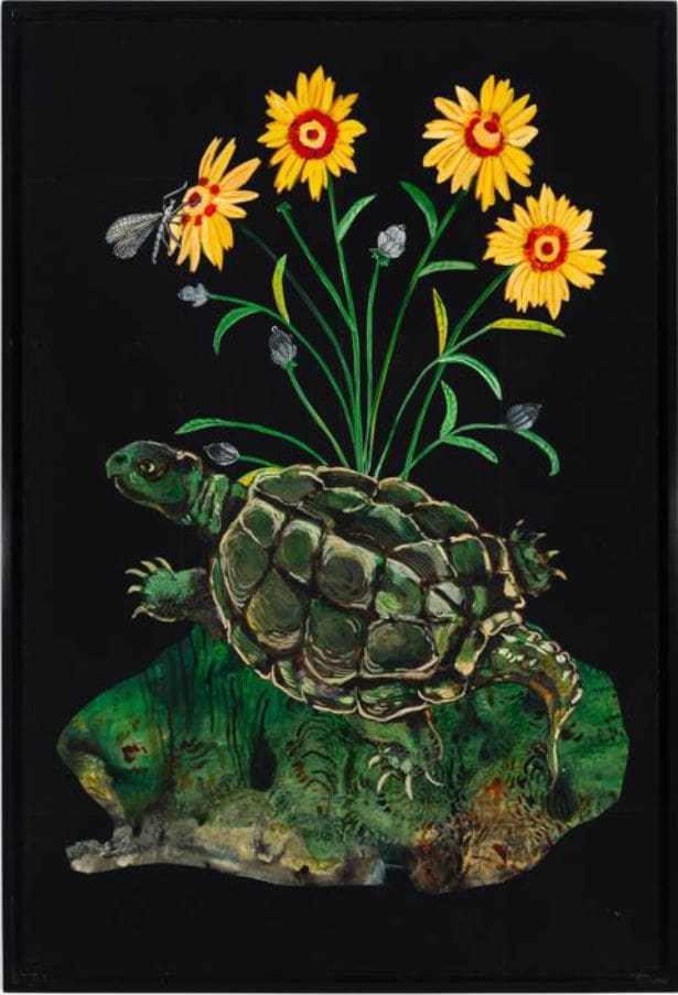 Snapping Turtle, Plains Coreopsis by Nancy Friedemann-Sánchez, Image 1.