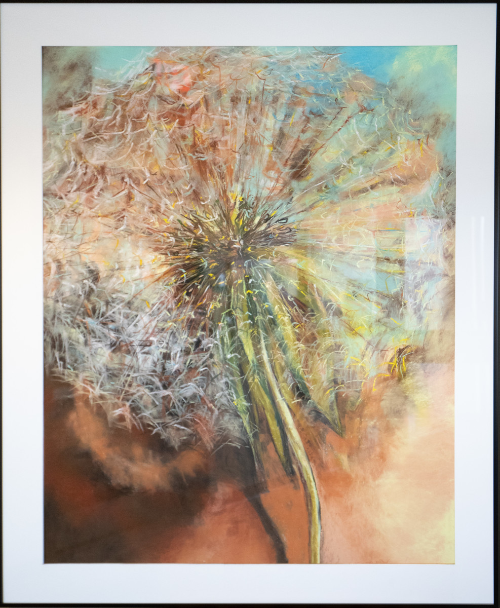 Dandelion by Kristin Pluhacek 