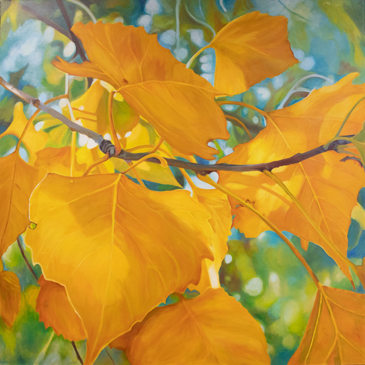 Cottonwood Leaves by Katrina Methot-Swanson 