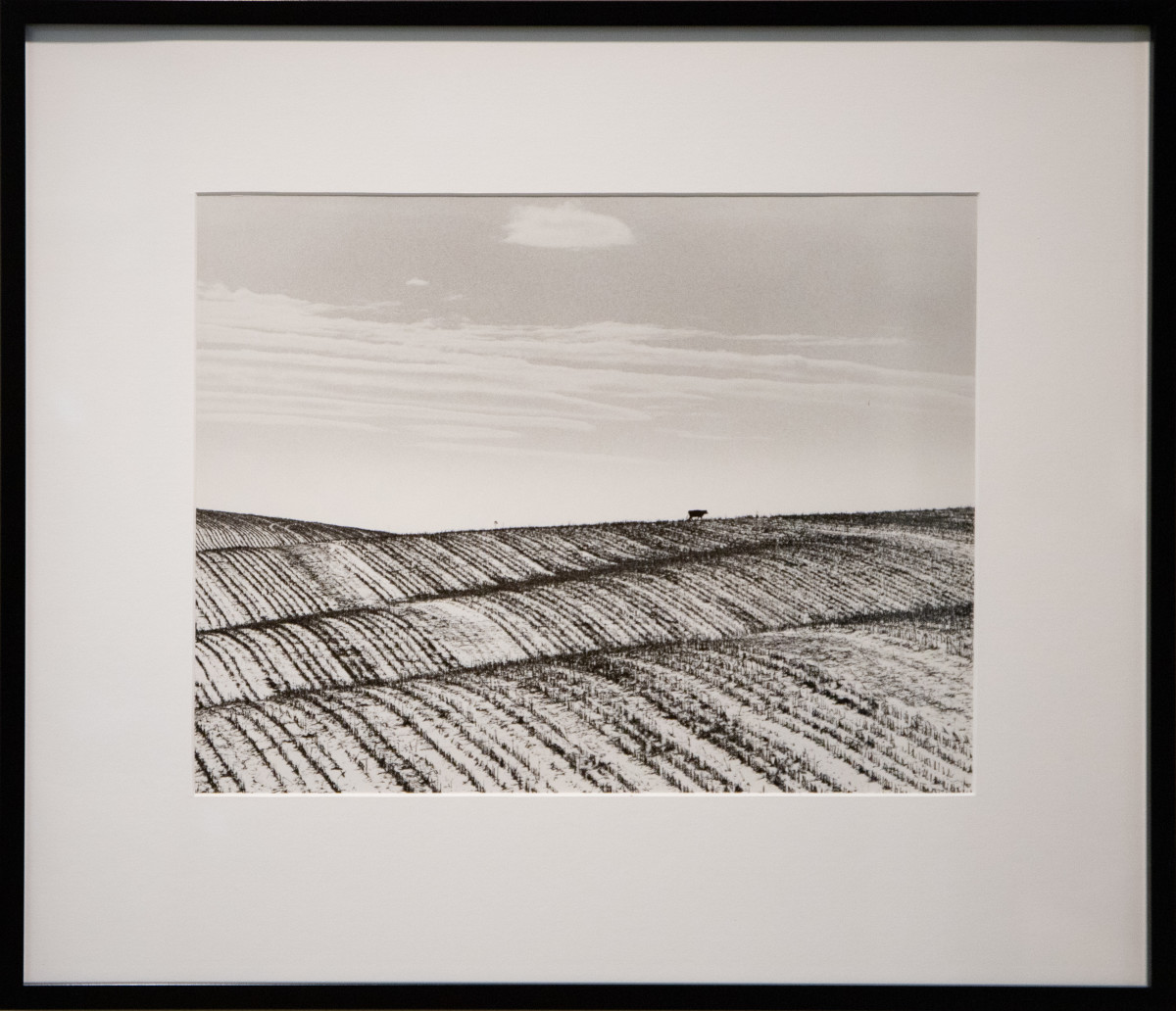 Along Highway 92 by Jean Lewis 