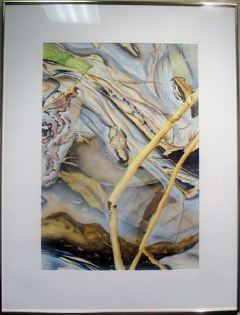 Ontogeny Suite #2 by Tom Wise, Image 1.