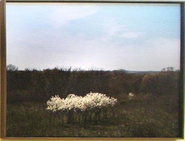 North of Valparaiso, Saunders County, Nebraska - April 20, 1988 by John Spence 