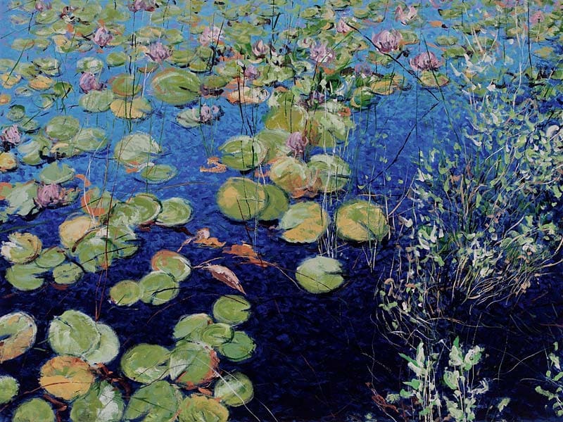 Spring Water Lillies by Angelita  Surmon 
