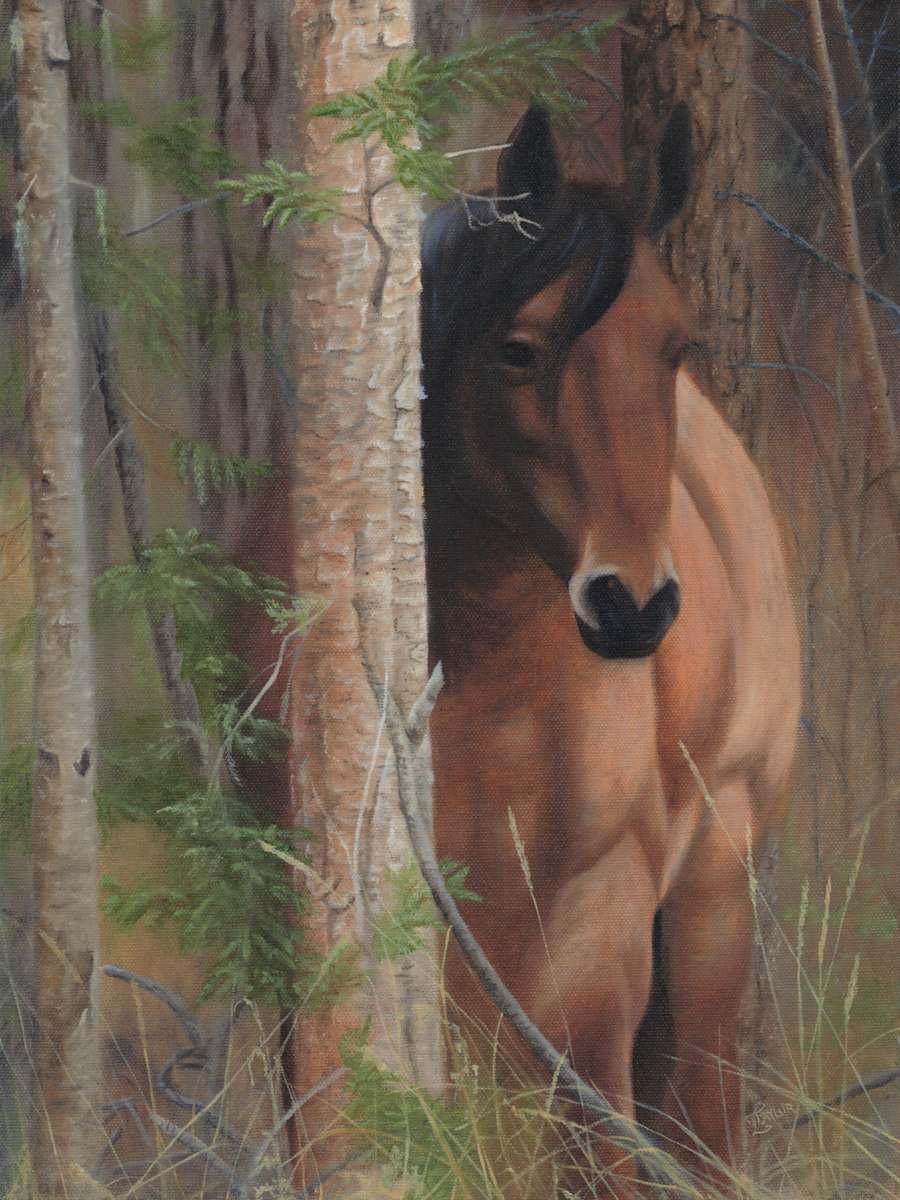 Bashful by Tammy Taylor, Image 1.