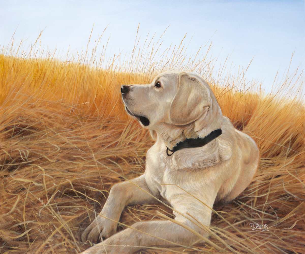 Waiting For The Birds by Tammy Taylor, Image 1.