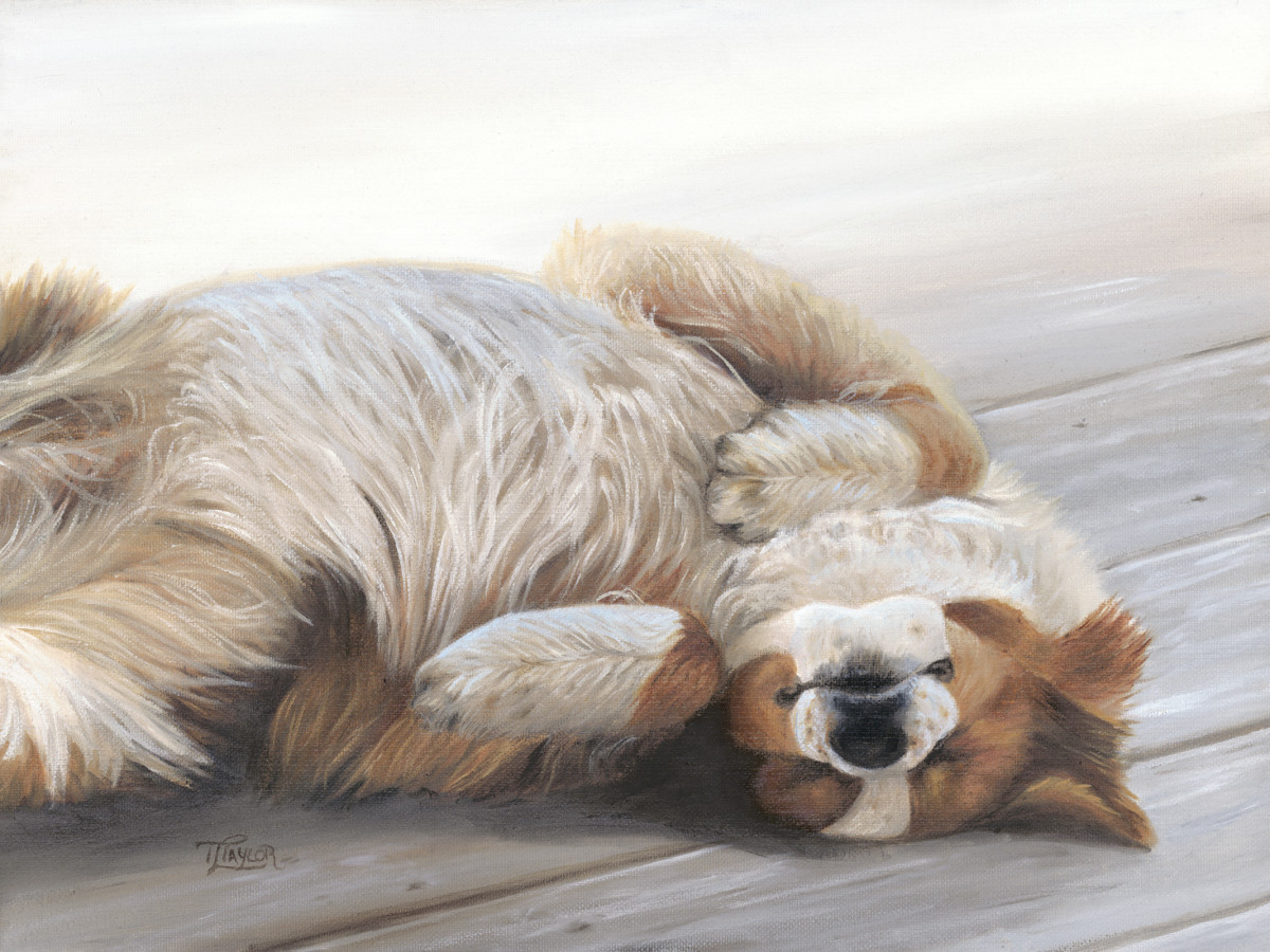 Dog Gone Tired by Tammy Taylor 