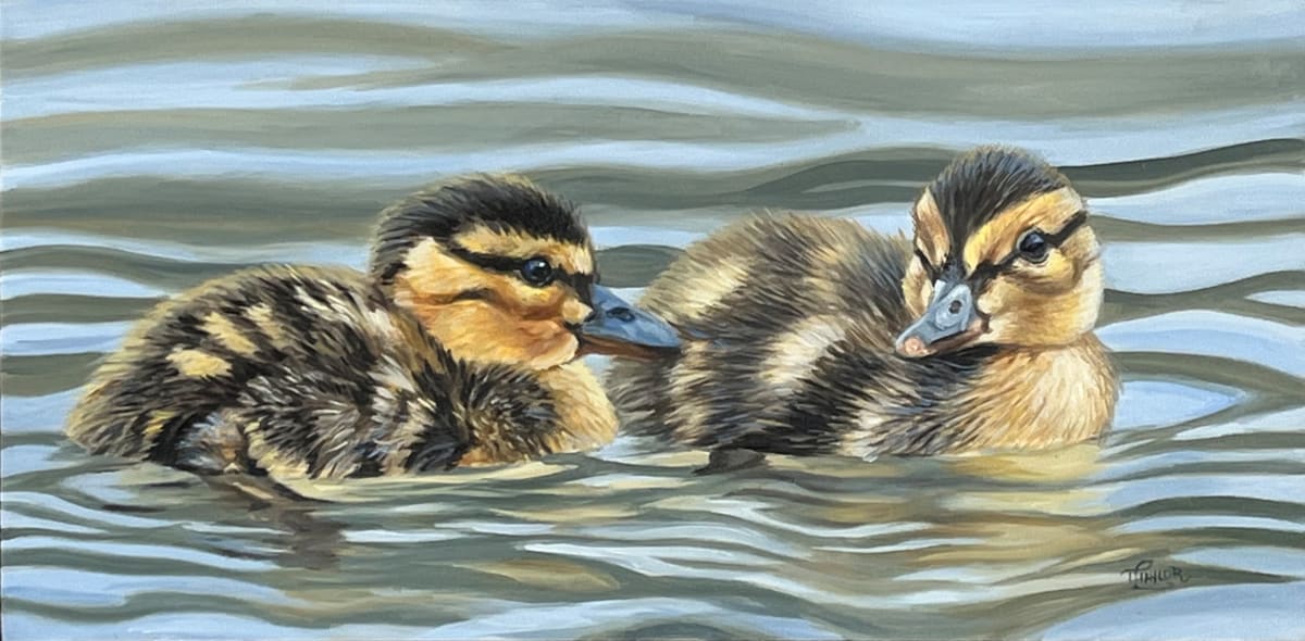 Baby Ducklings by Tammy Taylor 