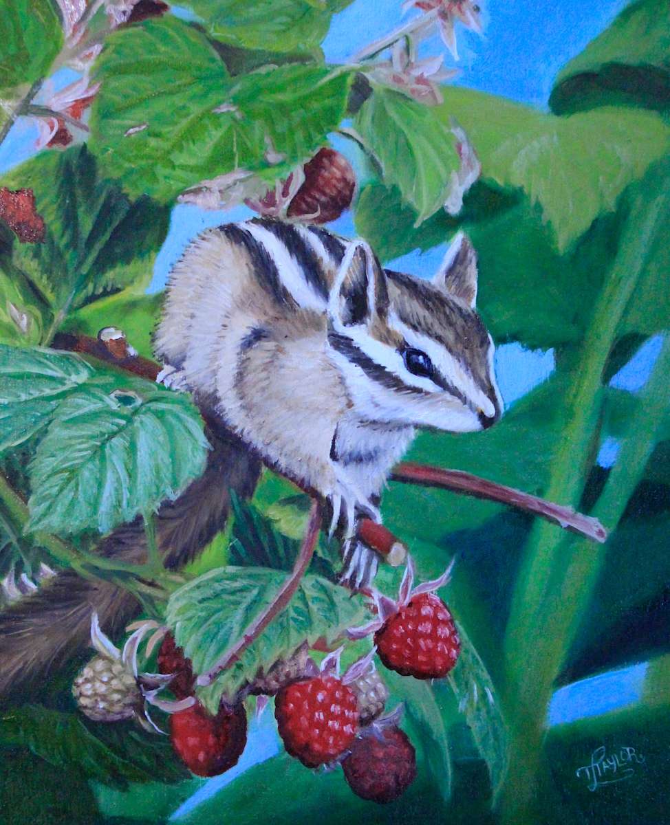 Berry Mischievious, Image 1.