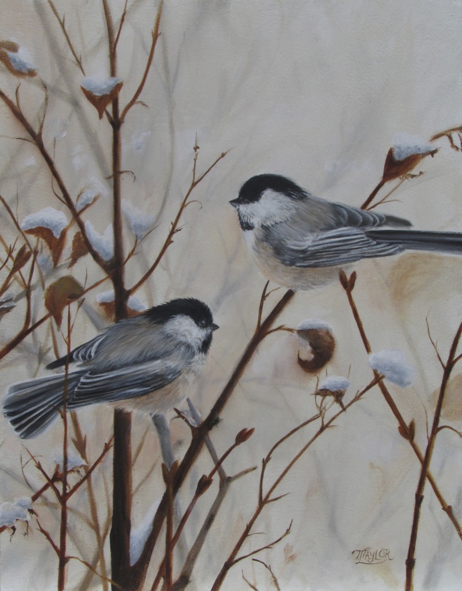 Chickadees by Tammy Taylor 