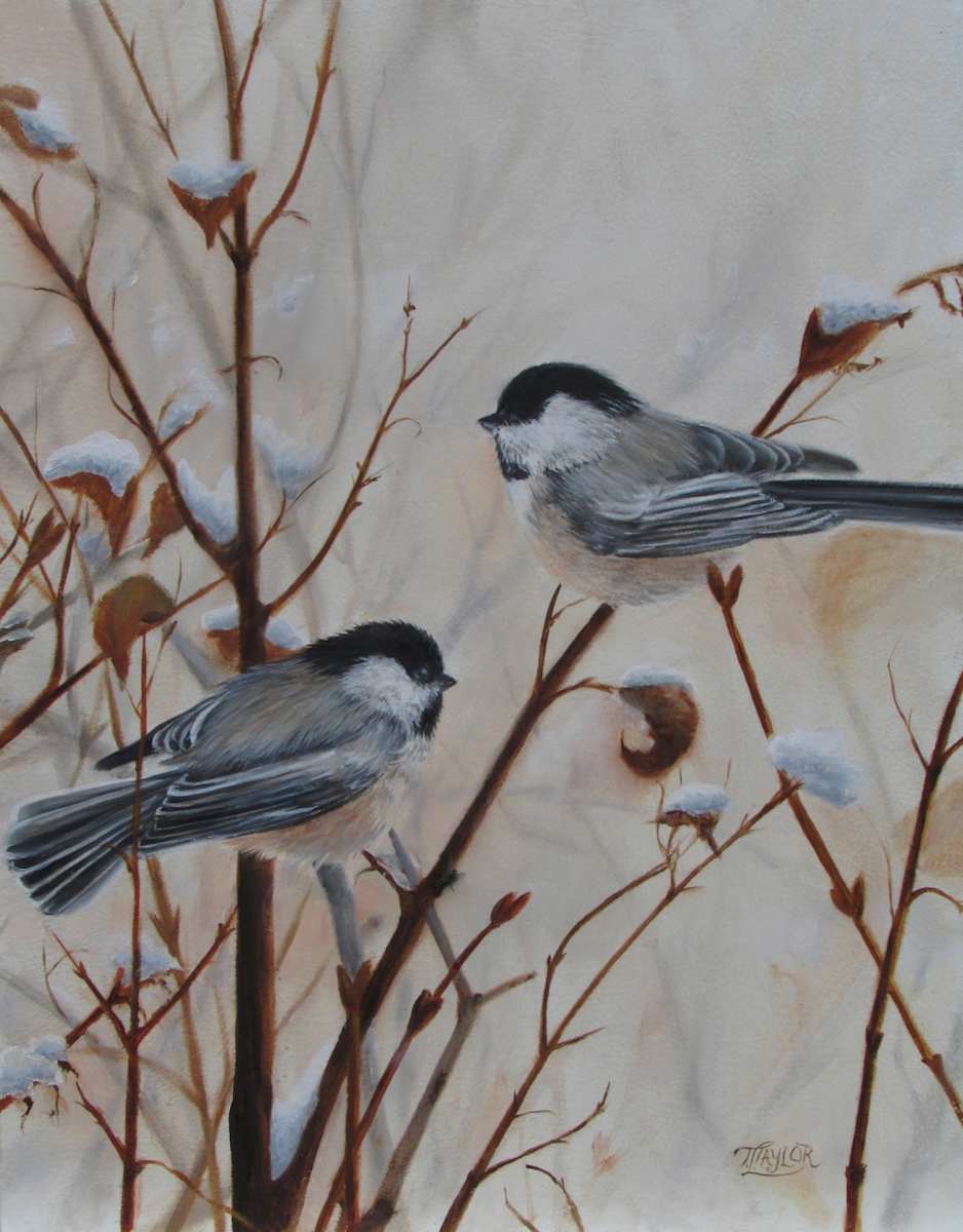 Chickadees by Tammy Taylor, Image 1.
