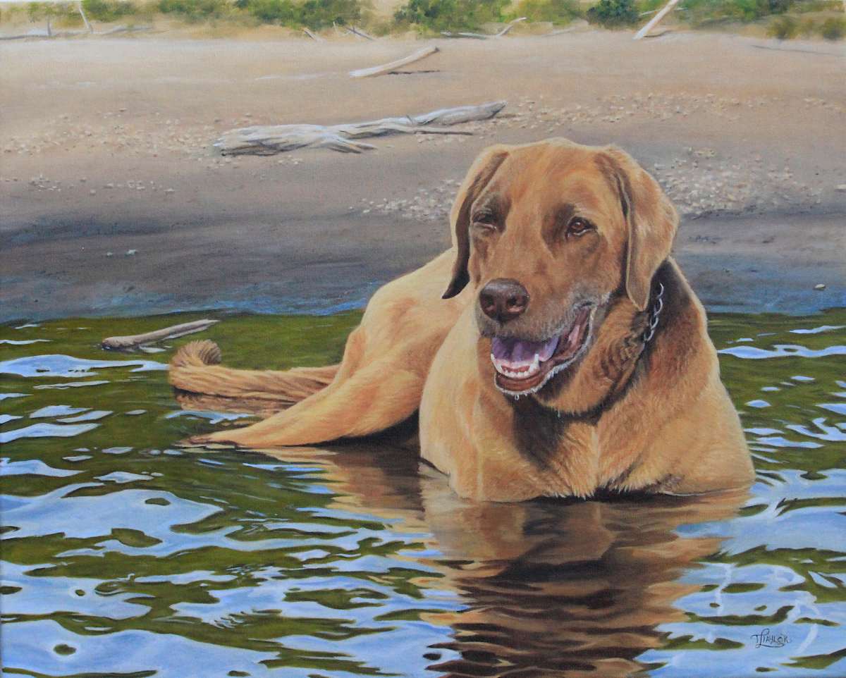 Duke, Image 1.