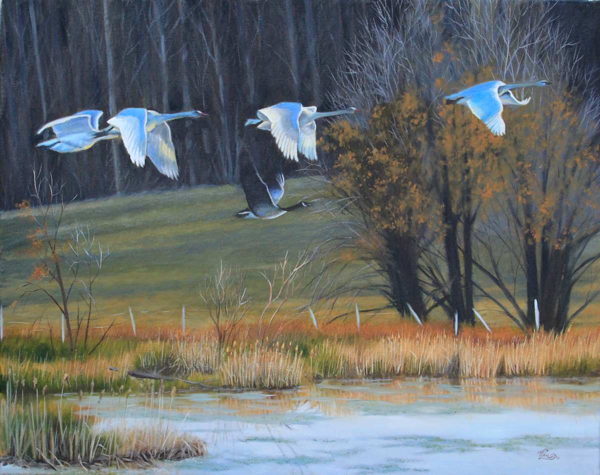 Finding A Flock by Tammy Taylor, Image 1.