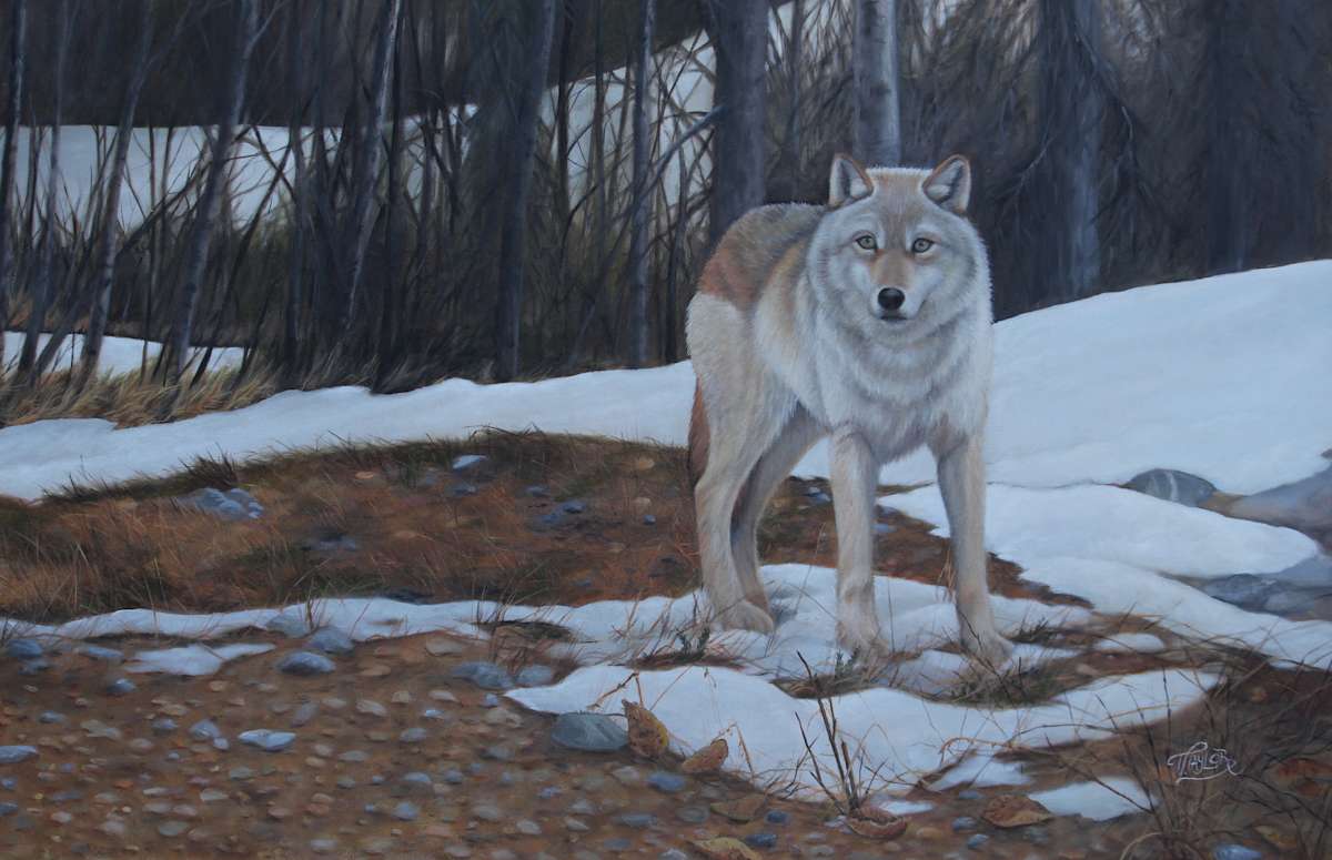Hesitation by Tammy Taylor, Image 1.