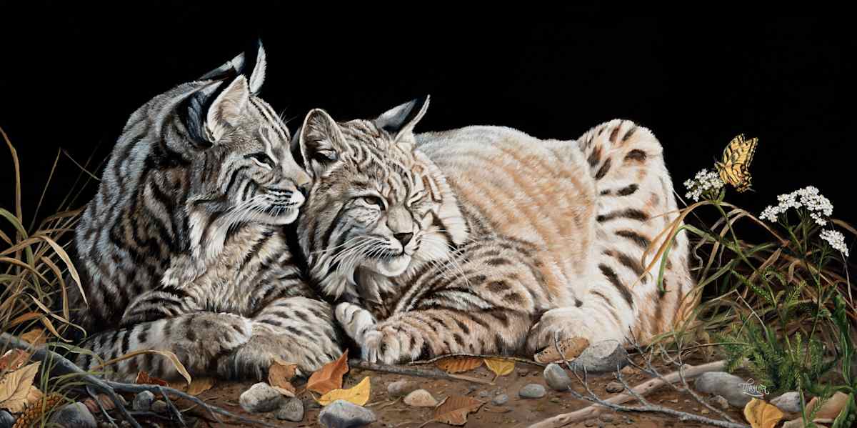 A Tranquil Moment by Tammy Taylor, Image 1.