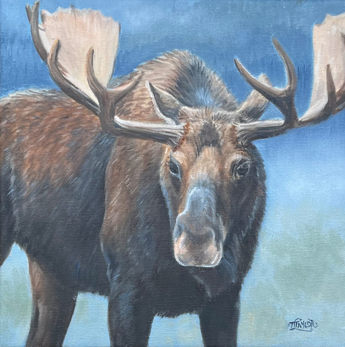 The Challenger by Tammy Taylor, Image 1.