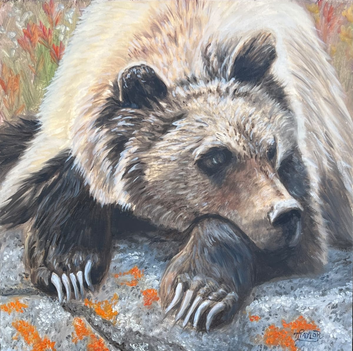 Resting On The Rock by Tammy Taylor, Image 1.