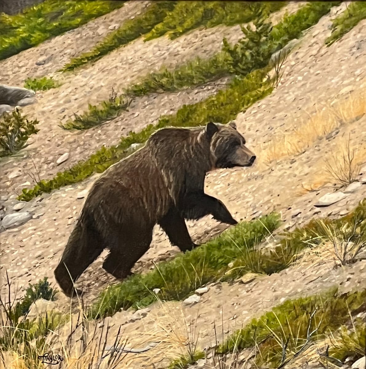 Uphill Climb by Tammy Taylor 