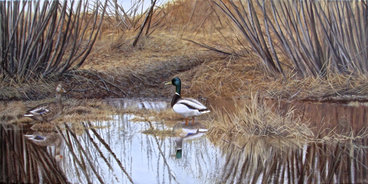 Mallards by Tammy Taylor 