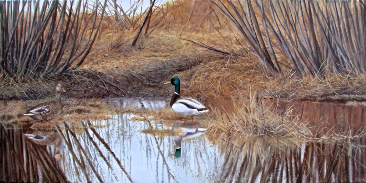 Mallards by Tammy Taylor, Image 1.