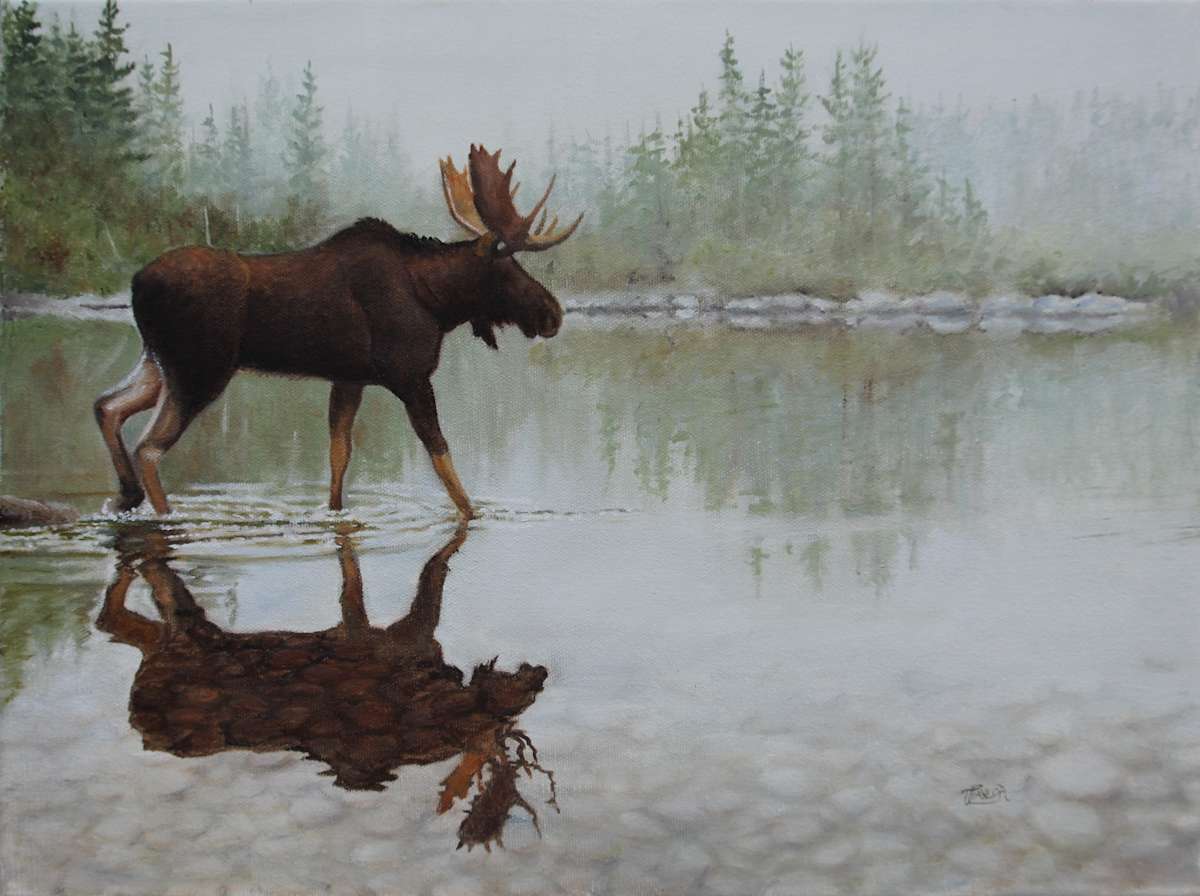 Reflection On The Rocks by Tammy Taylor, Image 1.